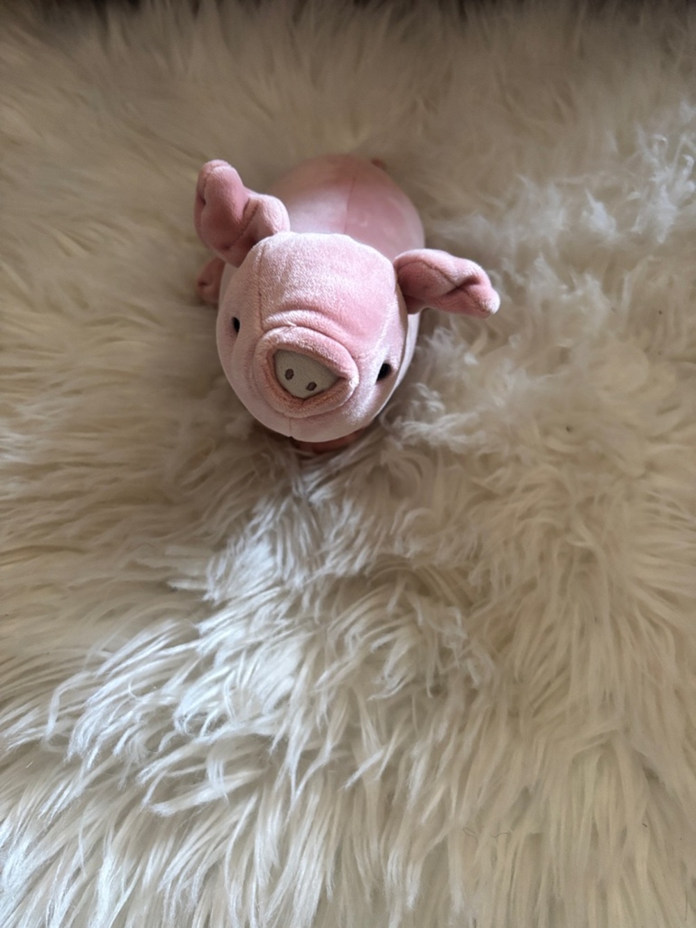 Jellycat Nellie mallow Pig Stuffed Animal - Picture 4 of 5